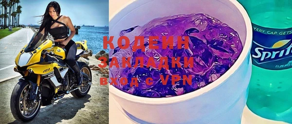 шишки Каменногорск