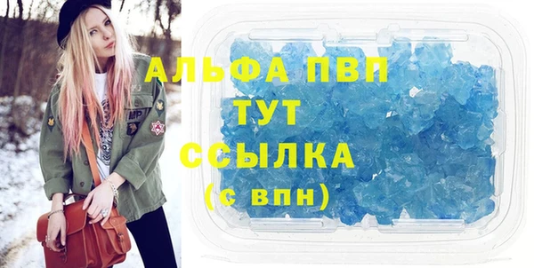 крисы Баксан