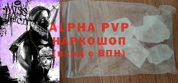 крисы Баксан