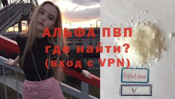 крисы Баксан